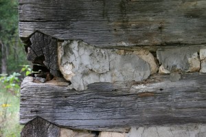 Deterioration of the notch joinery at the corner.  Also note the hard grey Portland cement used to cover the failing chinking.  Hard cements only accelerate the damage suffered by log and stone structures.