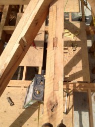 Top view of the bladed scarf joint in the main ridge.